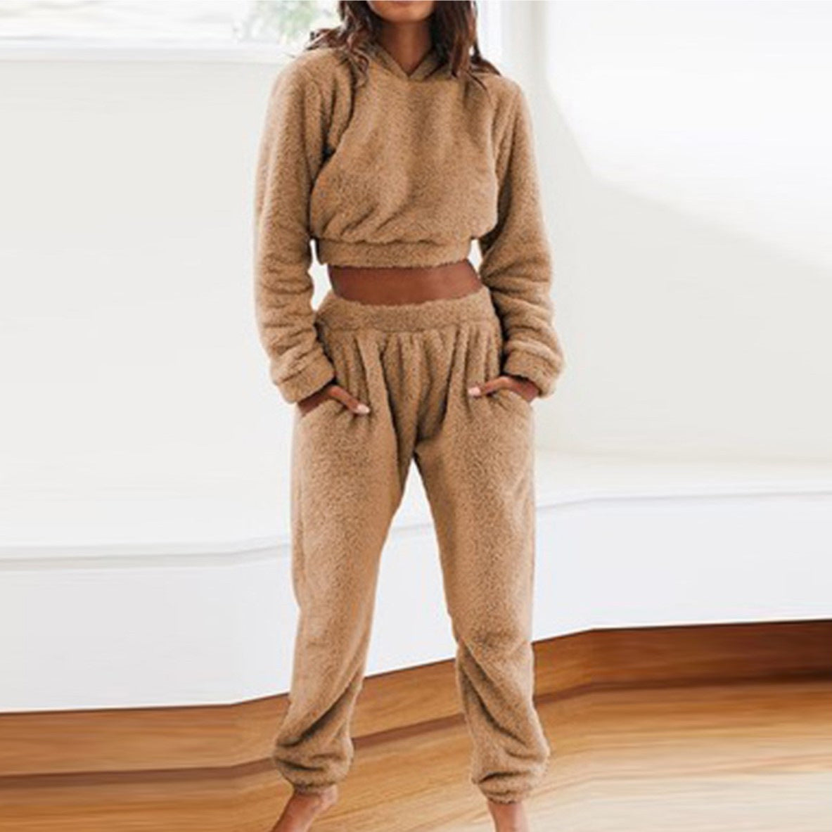 Women's Plush Hooded Long-sleeved Top Elastic Waist Trousers Casual Two-piece Set